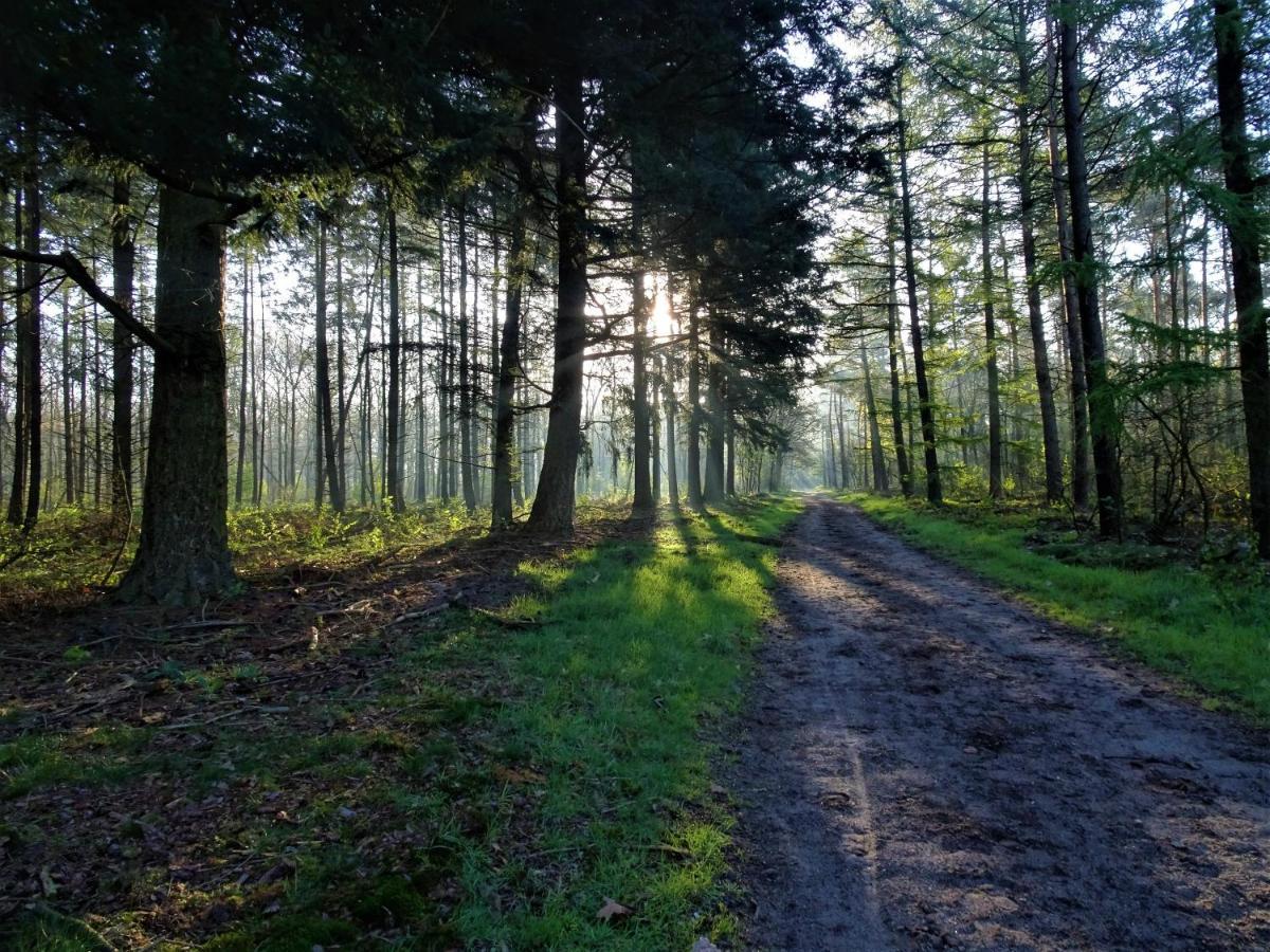 Veluwe Park Reewold Chalet Talisman Путен Екстериор снимка